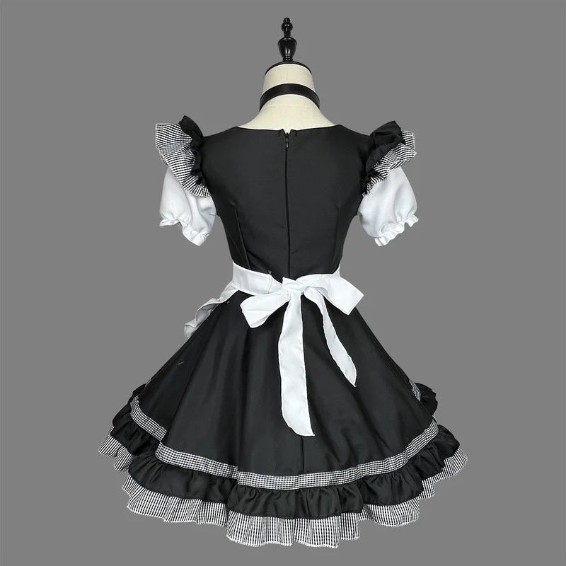 Cat Maid Outfit