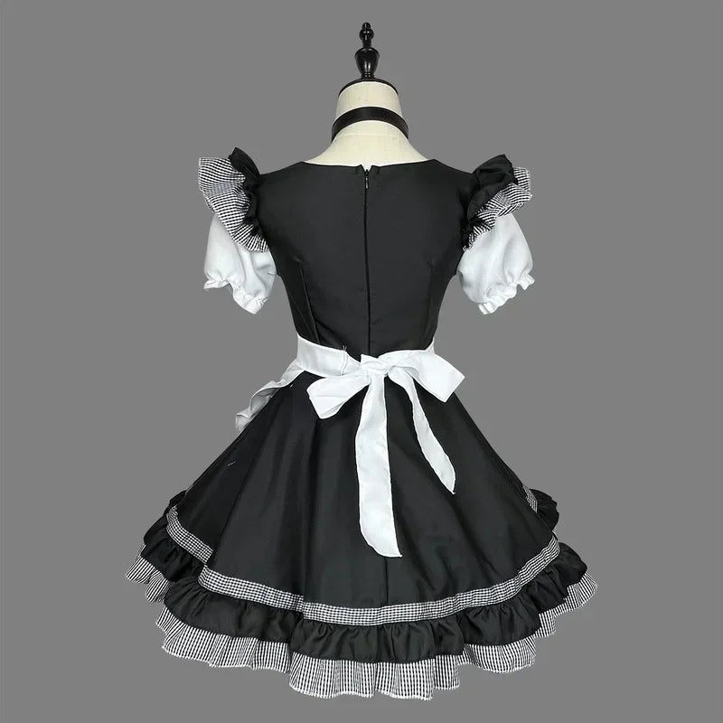 Cat Maid Outfit